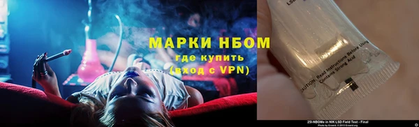 хмурый Ладушкин