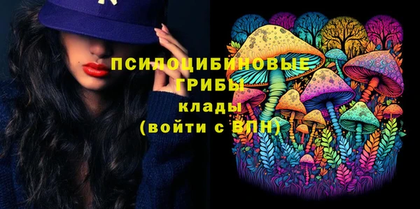соль ск Лагань