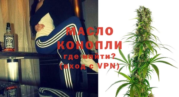 хмурый Ладушкин