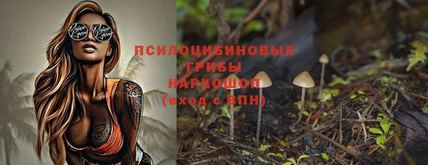 соль ск Лагань