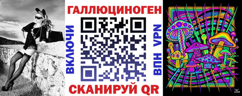 kraken как зайти  Назрань  Псилоцибиновые грибы Psilocybe 
